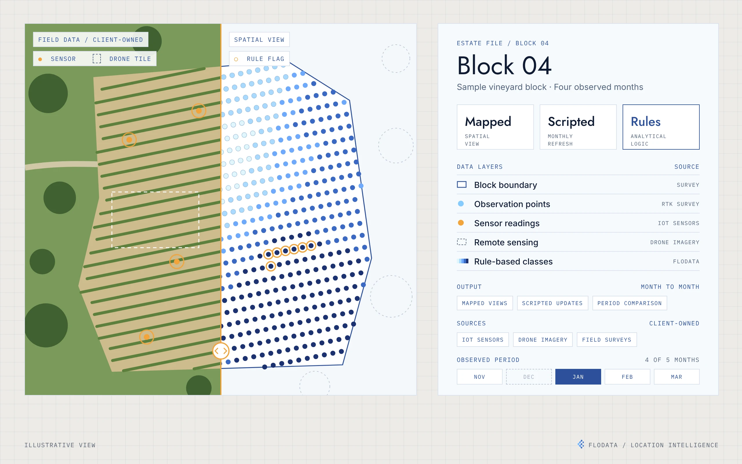 Illustration of one vineyard block split in two: field data on the left, with vine rows, sensor locations and a drone image tile, and the same block on the right as a grid of observation points shaded by class, with a few points flagged by a rule. Beside it, an estate file card lists the data layers and their sources, the outputs and four observed months from November to March, with December marked as not observed.